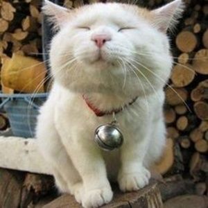 Meet your Posher, Elaine